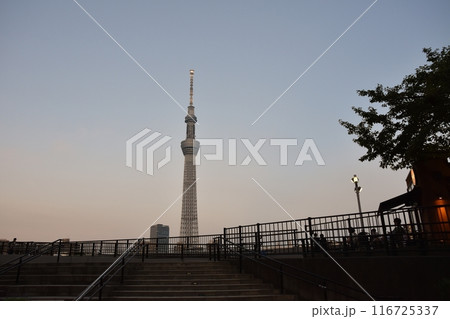 夕暮れのスカイツリーと人影 東京 夕暮れのスカイツリーと人影 東京 116725337