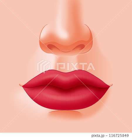 鼻と唇 鼻と唇 116725849