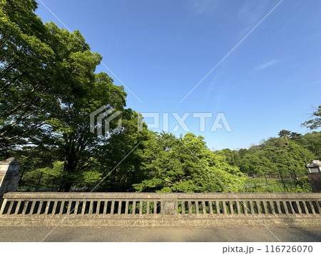 狭山公園 116726070
