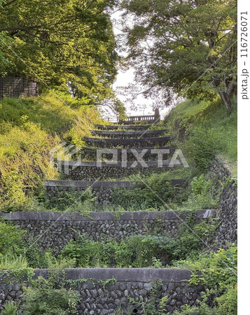 狭山公園 狭山公園 116726071