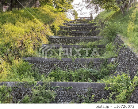 狭山公園 116726072