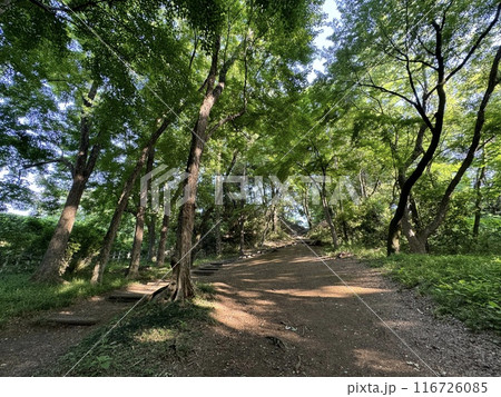 狭山公園 狭山公園 116726085