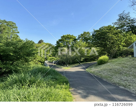 狭山公園 狭山公園 116726099