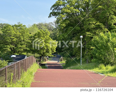 狭山公園 狭山公園 116726104