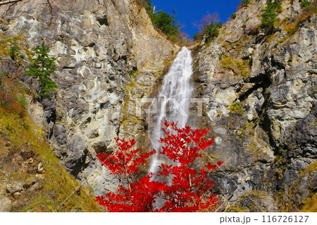 赤く色づいた紅葉を前景に断崖絶壁を流れ落ちるふくべの大滝 Ver5 赤く色づいた紅葉を前景に断崖絶壁を流れ落ちるふくべの大滝 Ver5 116726127