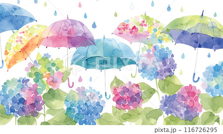 可愛くてカラフルな傘と紫陽花の水彩イラスト 可愛くてカラフルな傘と紫陽花の水彩イラスト 116726295