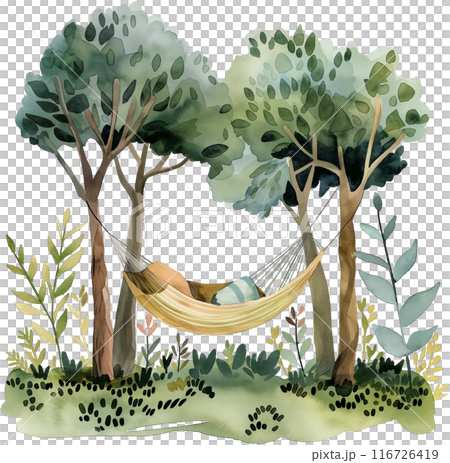 a hammock in the forest 116726419
