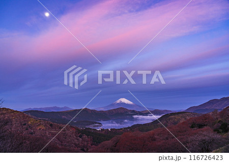 (神奈川県)箱根大観山から望む、満月と富士山 夜明け (神奈川県)箱根大観山から望む、満月と富士山 夜明け 116726423