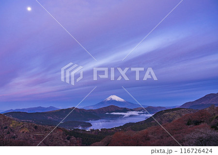 （神奈川県）箱根大観山から望む、満月と富士山　夜明け 116726424