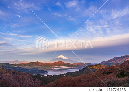 （神奈川県）箱根大観山から望む、満月と富士山　夜明け 116726428