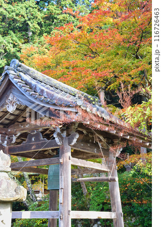 大原 勝林院 鐘楼と美しい紅葉(京都市左京区) 大原 勝林院 鐘楼と美しい紅葉(京都市左京区) 116726463