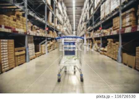 Warehouse background storage inventory shelf with freight container aisle space. Goods supply lot shelf cardboard store box pallet. Commercial packaging on steel rack. Aisle in storehouse inventory 116726530