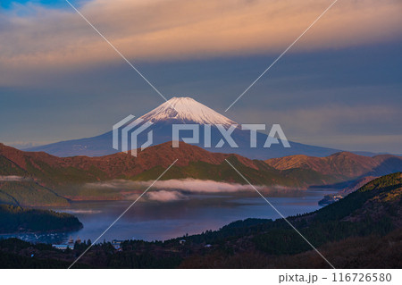 （神奈川県）箱根大観山から望む、初冬の富士山　夜明け 116726580