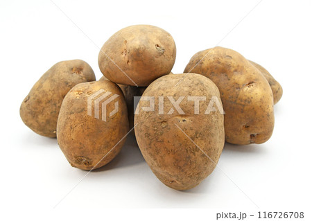 じゃがいも（ひかる） 116726708