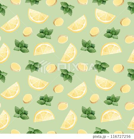 Lemon, peppermint and ginger slices watercolor seamless pattern on pastel green. Hand drawn background with healthy herbs for summer beverage or herbal tea. Immunity stimulating and organic food 116727256