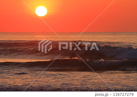朝日が輝く宮崎お倉ヶ浜での海で砕ける大波に乗るサーファー 朝日が輝く宮崎お倉ヶ浜での海で砕ける大波に乗るサーファー 116727279