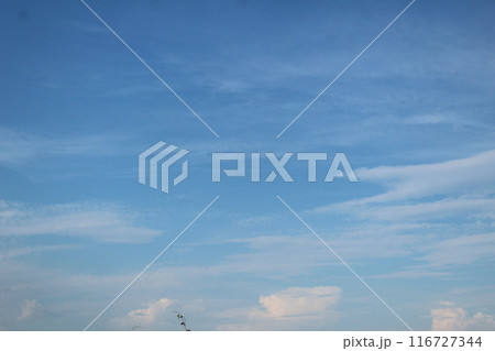 White clouds in blue sky. Feathery obslaka on a blue background. Beautiful Sky Landscape White clouds in blue sky. Feathery obslaka on a blue background. Beautiful Sky Landscape 116727344