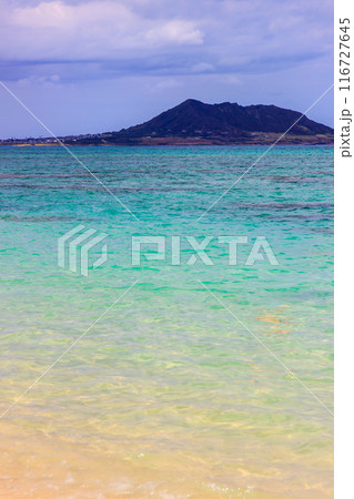 美しいハワイのビーチの風景 美しいハワイのビーチの風景 116727645