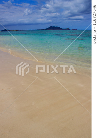 美しいハワイのビーチの風景 美しいハワイのビーチの風景 116727646
