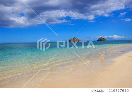 美しいハワイのビーチの風景 116727650