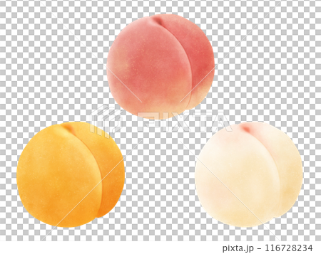 Set of 3 types of peaches (white peach, genuine white peach, yellow peach) 116728234