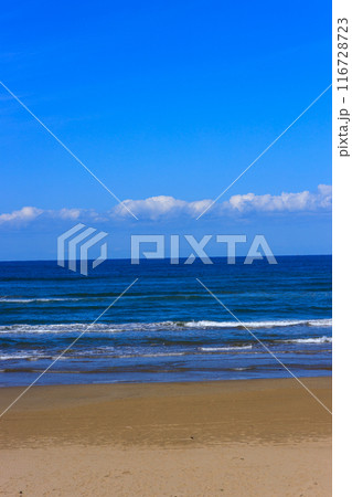 綺麗な砂浜と海と日本海 綺麗な砂浜と海と日本海 116728723