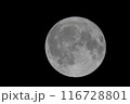 月面写真(2024.07.21) 116728801