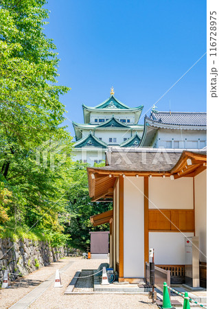 特別史跡　名古屋城　本丸御殿　湯殿書院から天守閣を望む 116728975