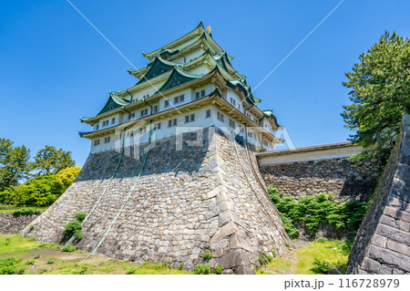 特別史跡　名古屋城　天守閣　石垣　剣塀　塀の軒に鋭い槍の穂先がぎっしり　侵入防止 116728979