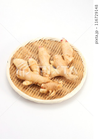 ザルに盛った新生姜 ザルに盛った新生姜 116729148