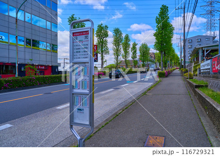 春のツツジ咲く神奈川県川崎市麻生区上麻生4丁目14の日光バス停から西方面 春のツツジ咲く神奈川県川崎市麻生区上麻生4丁目14の日光バス停から西方面 116729321