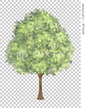 緑の葉が生い茂った木のイラスト素材 [116729346] - PIXTA