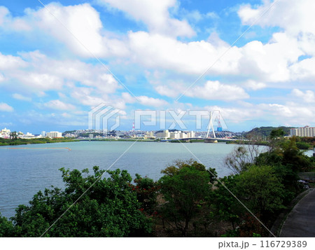 漫湖(沖縄県那覇市) 116729389