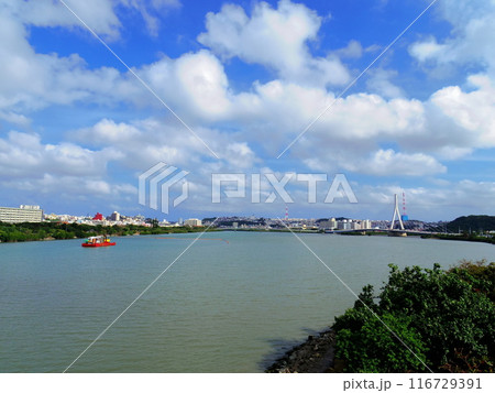 漫湖(沖縄県那覇市) 漫湖(沖縄県那覇市) 116729391