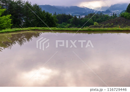 240601上野平g146 116729446