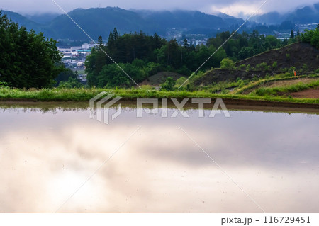 240601上野平g124 240601上野平g124 116729451