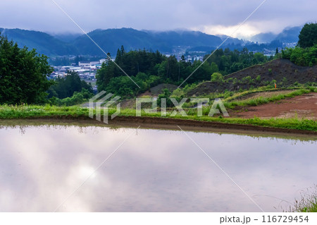 240601上野平g119 240601上野平g119 116729454