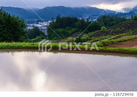 240601上野平g114 116729456