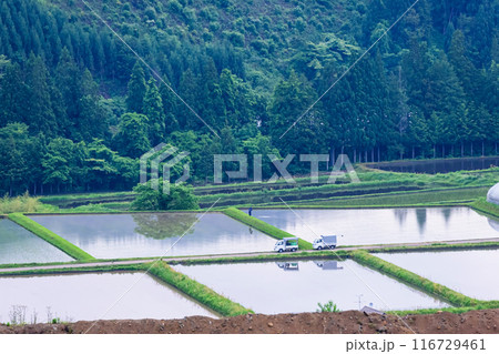 240601上野平g090 116729461