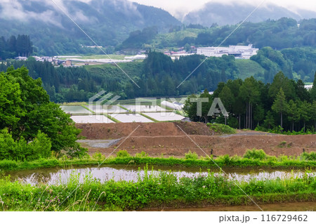 240601上野平g082 116729462