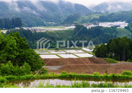 240601上野平g078 240601上野平g078 116729463