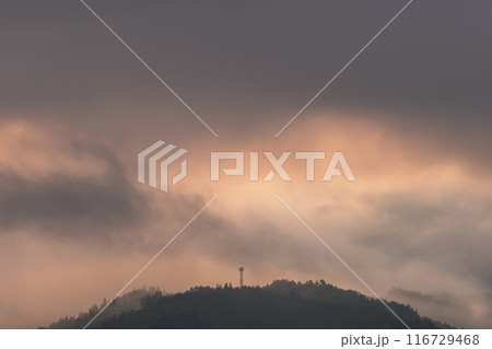 240601上野平g033 116729468