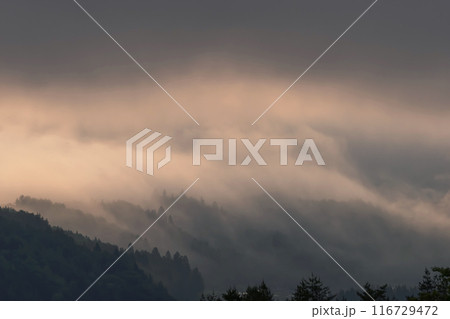 240601上野平g026 116729472