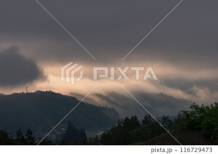 240601上野平g023 116729473