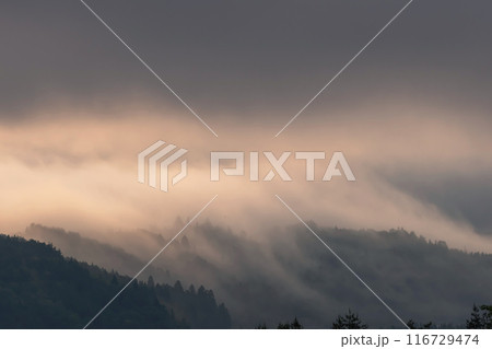 240601上野平g021 116729474