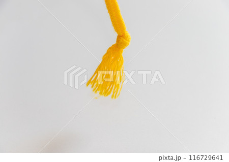 垂れ下がった紐の先端 116729641