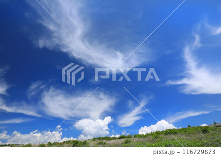 霧ケ峰高原の青い空と白い雲 116729873