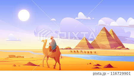Male rider on camel in Egyptian desert 116729901