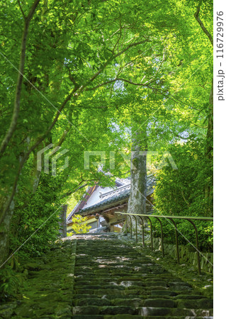 華厳寺（鈴虫寺）山門へ向かう石段 116729976