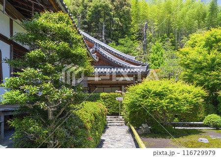 京都嵐山　華厳寺（鈴虫寺）　境内 116729979